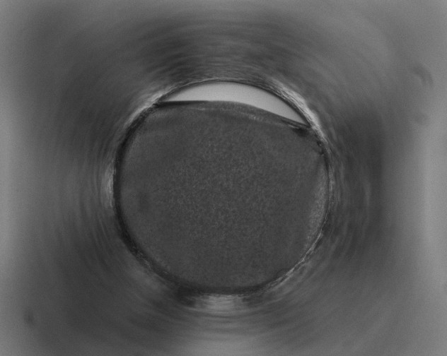 X0000116760154200912311825