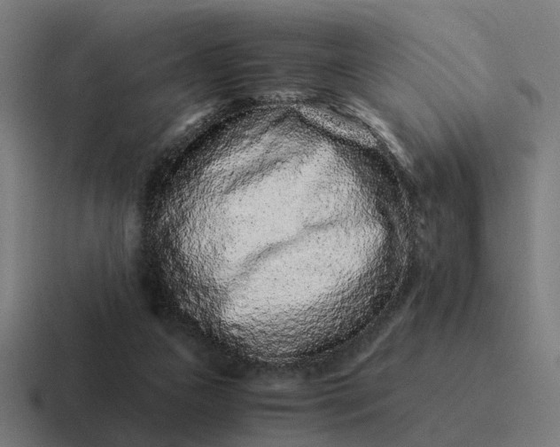 X0000116760161200912311825