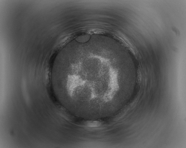 X0000116760169200912311825