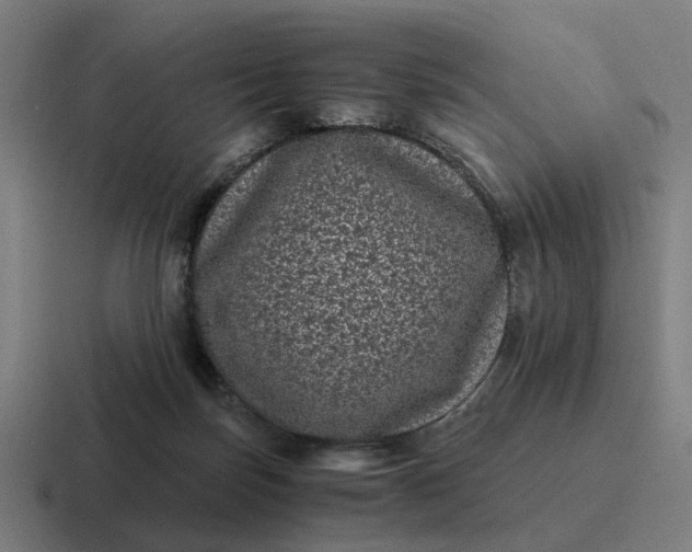 X0000116760171200912311825