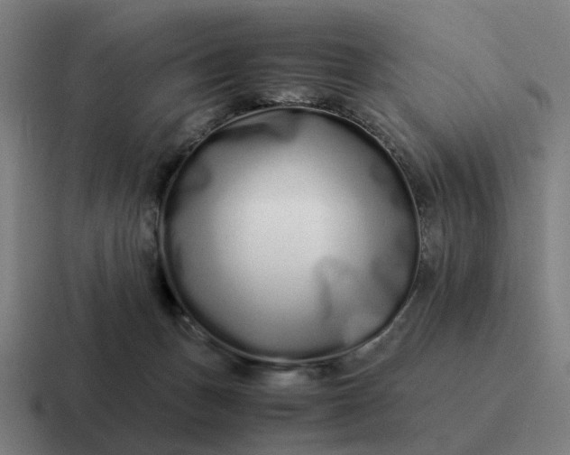 X0000116760175200912311825