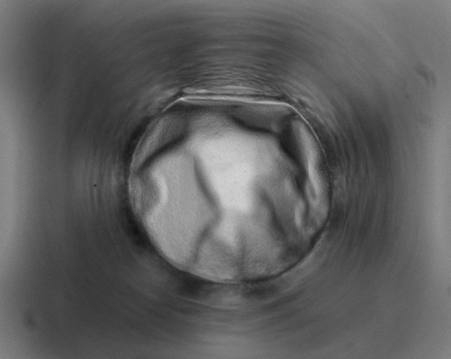 X0000116760182200912311826