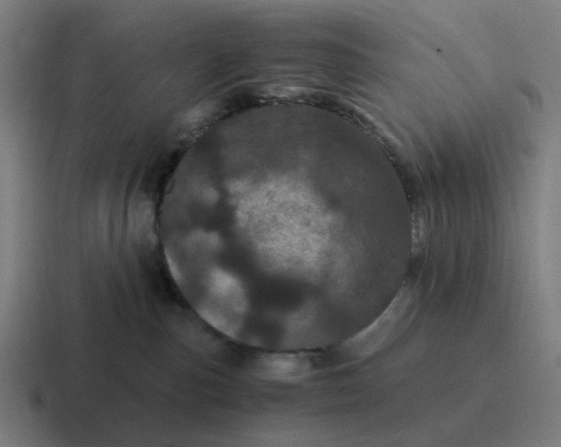 X0000116760187200912311826