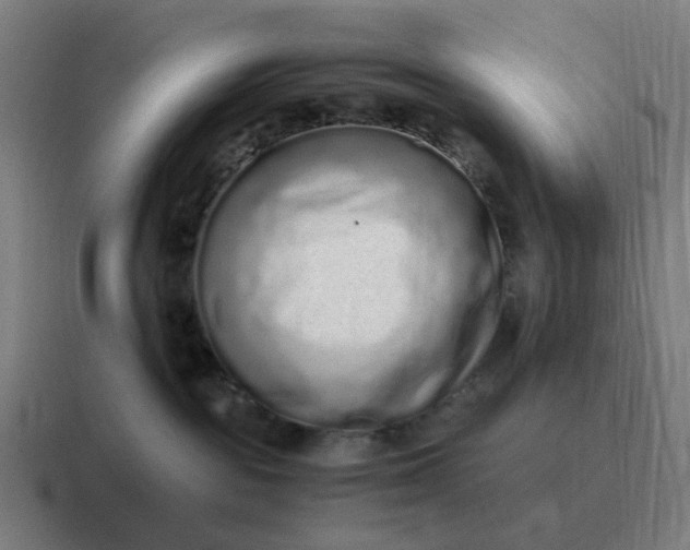 X0000116760189200912311826