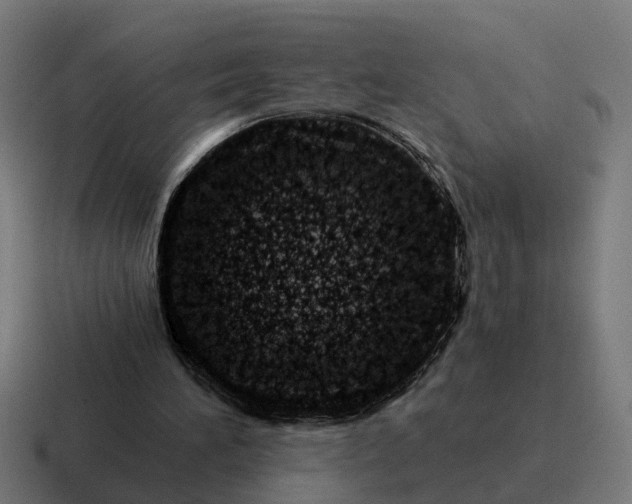 X0000116760196200912311825