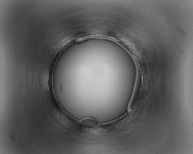 X0000116760201200912311825