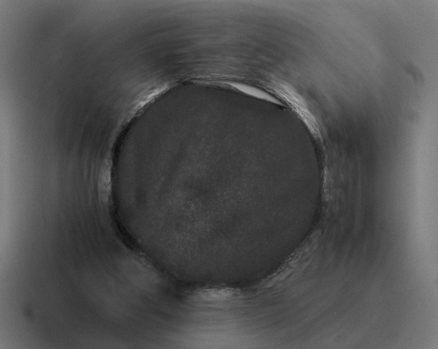 X0000116760202200912311825