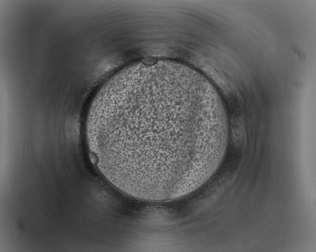 X0000116760207200912311825