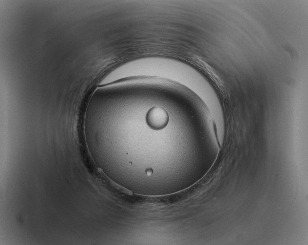 X0000116760209200912311825