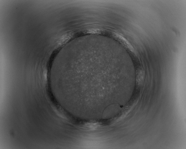 X0000116760213200912311825