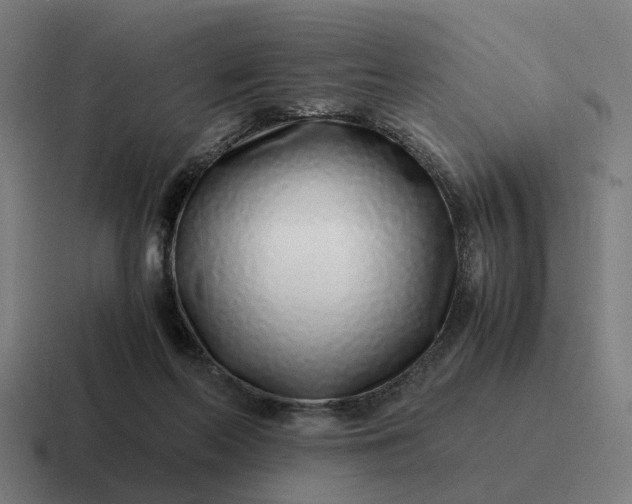 X0000116760214200912311825