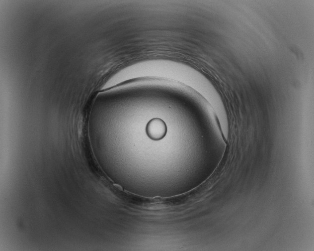 X0000116760219200912311825