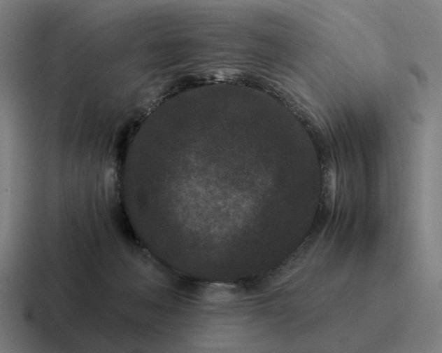 X0000116760222200912311825