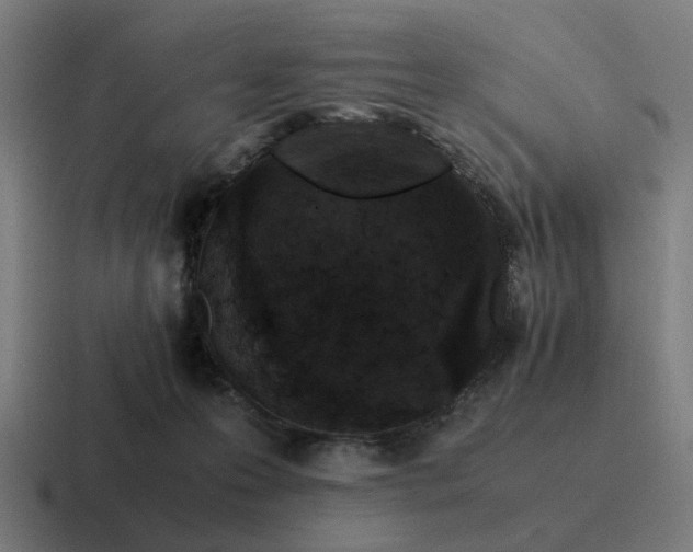 X0000116760223200912311825