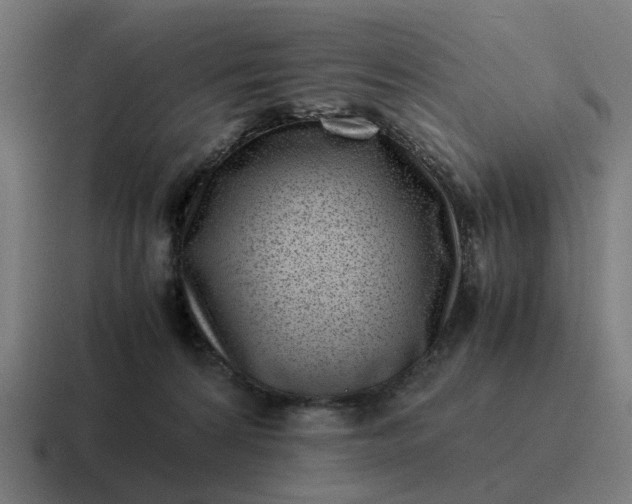 X0000116760224200912311825