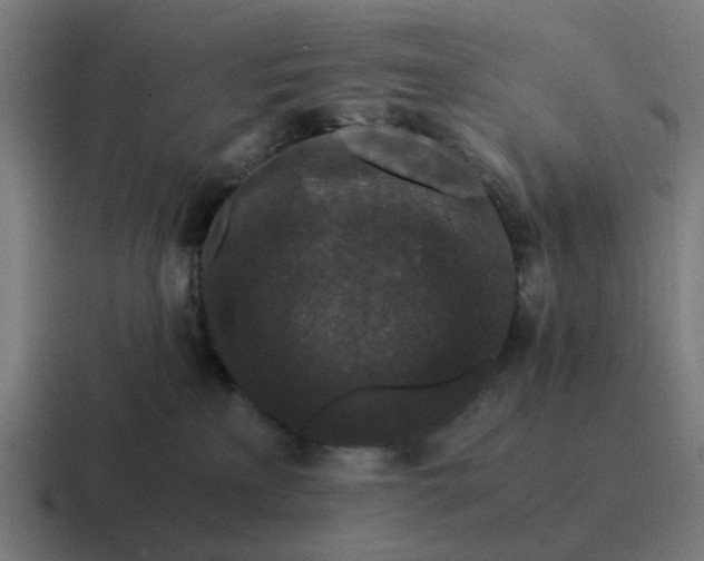 X0000116760233200912311825