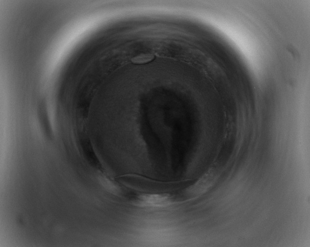 X0000116760239200912311825