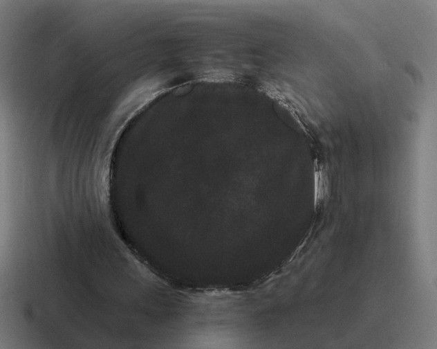 X0000116760243200912311824