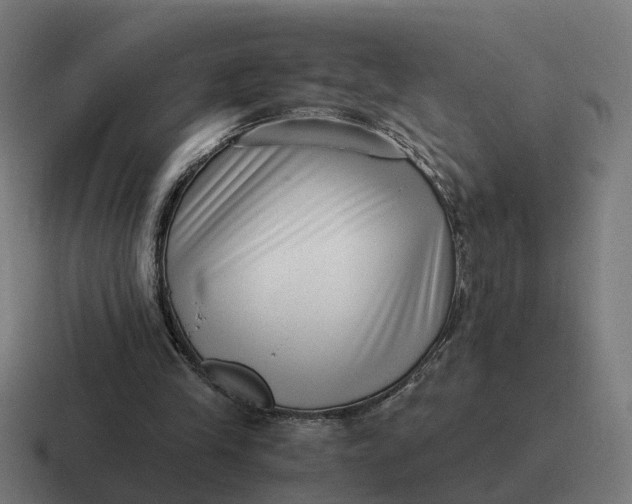 X0000116760245200912311824