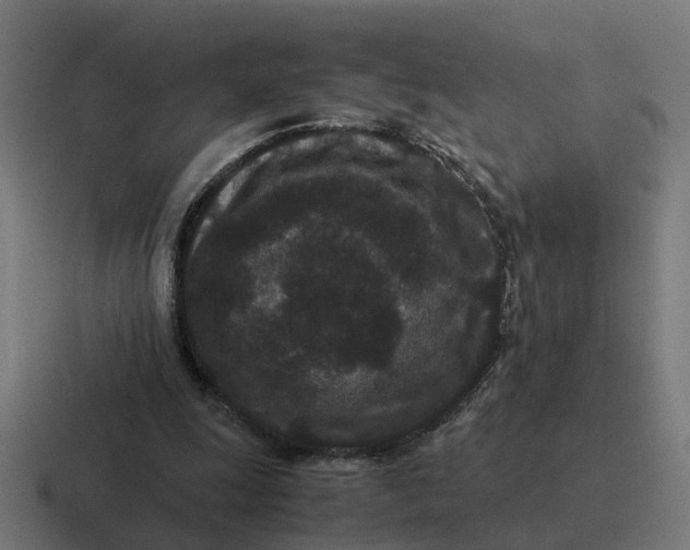 X0000116760247200912311824
