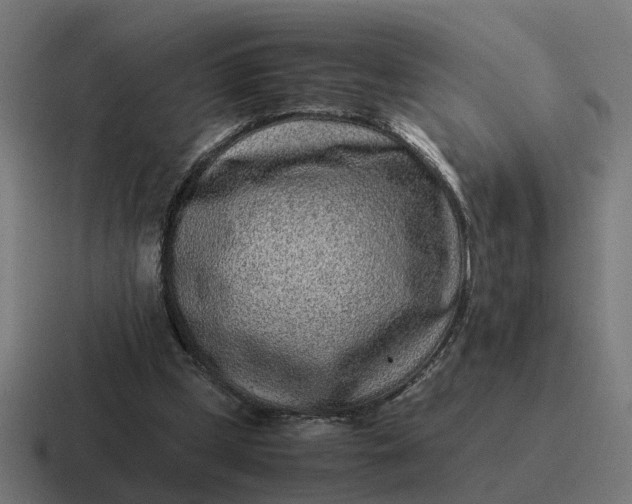X0000116760249200912311824