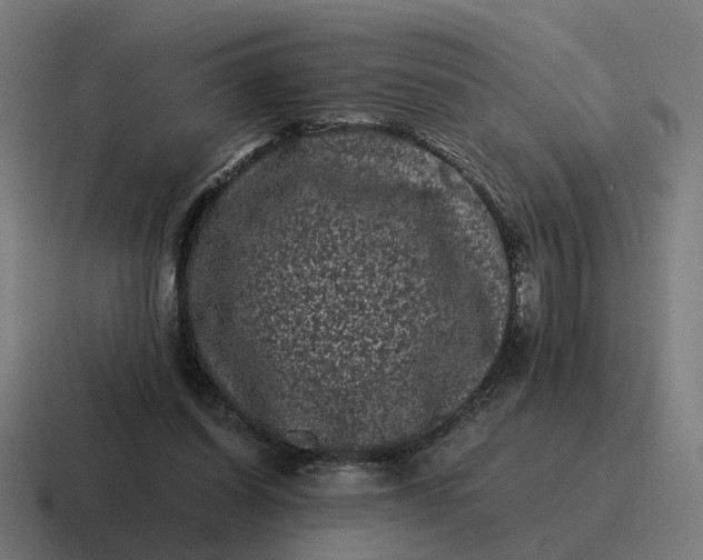 X0000116760254200912311824