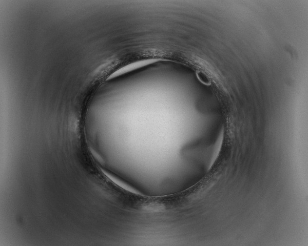 X0000116760258200912311824