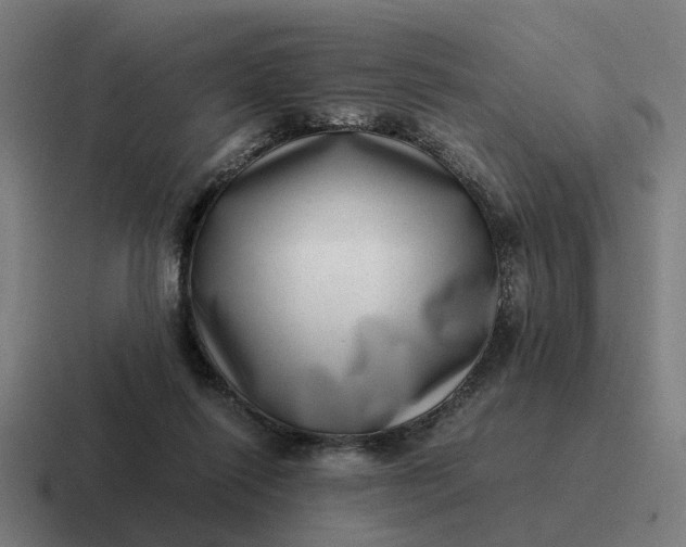 X0000116760262200912311824