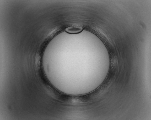 X0000116760264200912311824