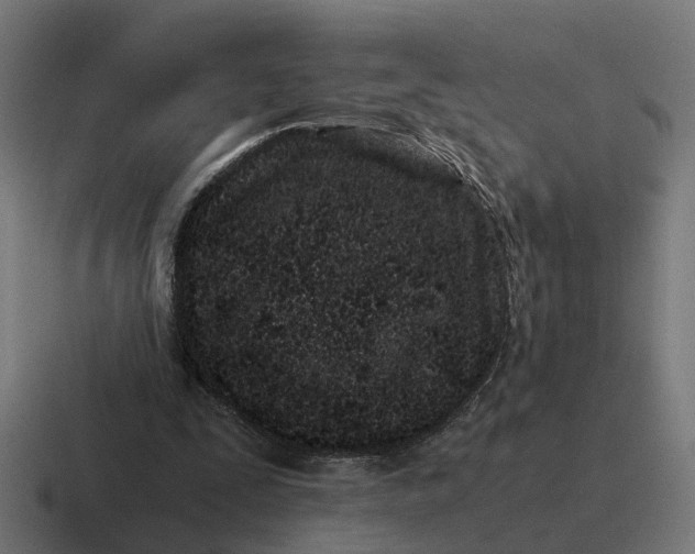X0000116760295200912311824