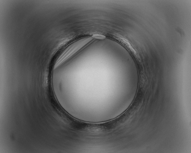 X0000116760299200912311824