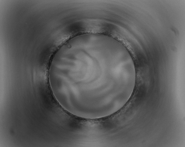 X0000116760305200912311824