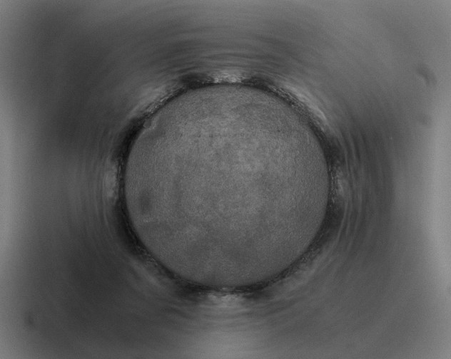 X0000116760311200912311824