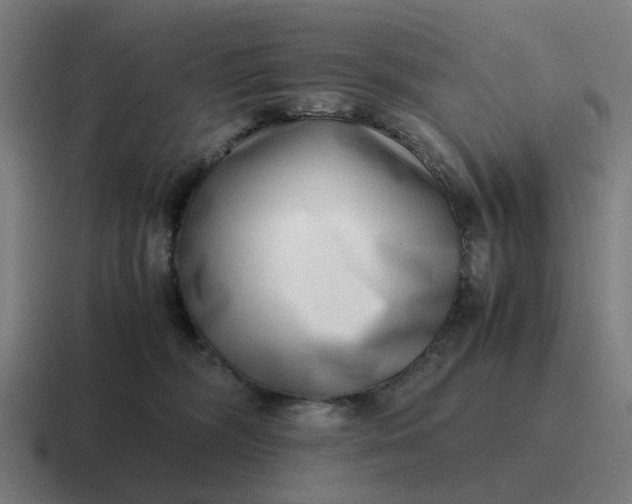 X0000116760326200912311823