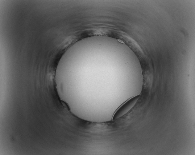 X0000116760329200912311823