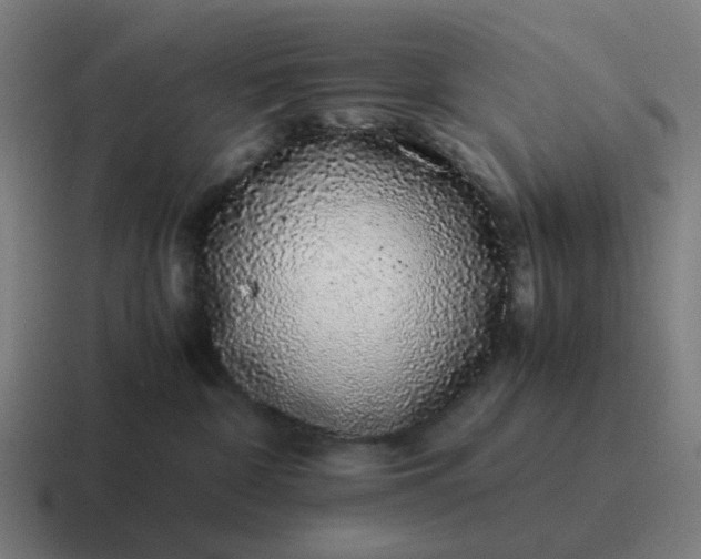 X0000116760332200912311823