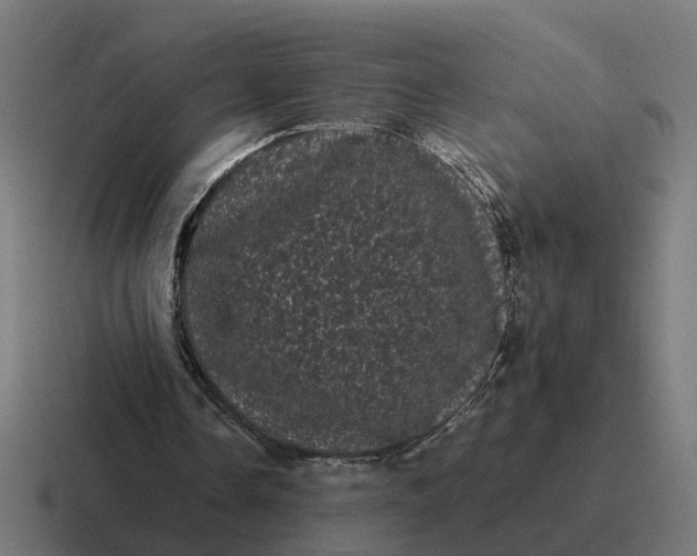 X0000116760338200912311823