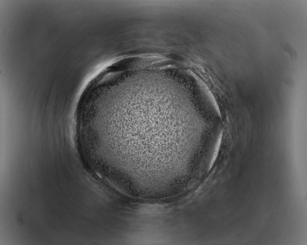 X0000116760342200912311823