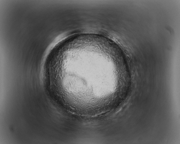 X0000116760343200912311823