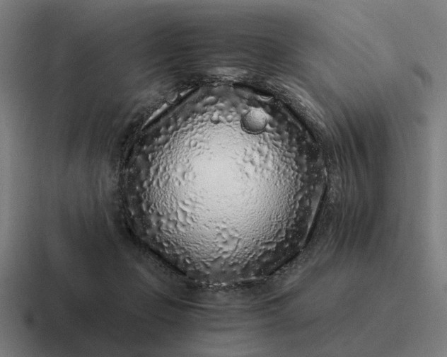 X0000116760365200912311823