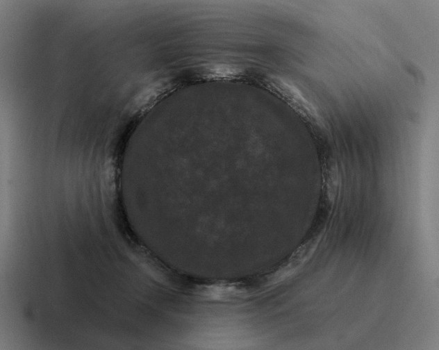 X0000116760366200912311823