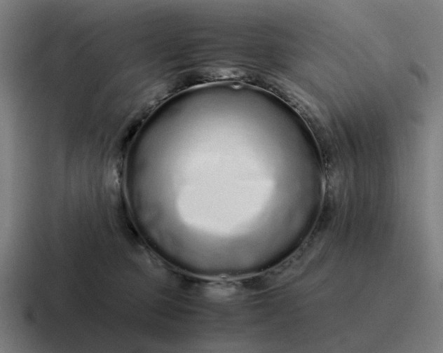 X0000116760373200912311823