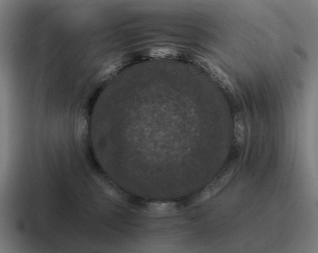 X0000116760375200912311823