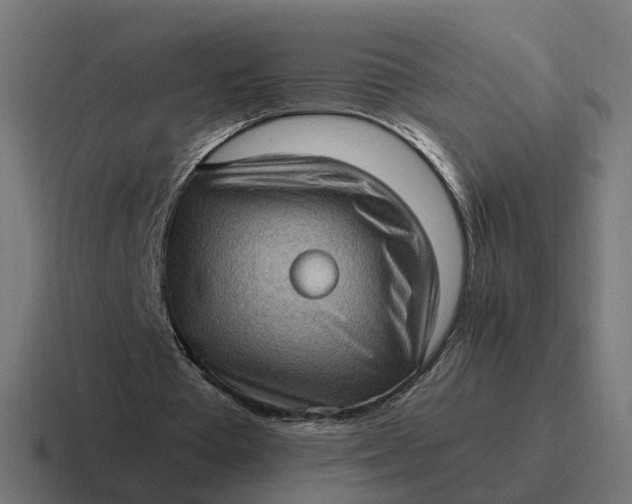 X0000116760385200912311823