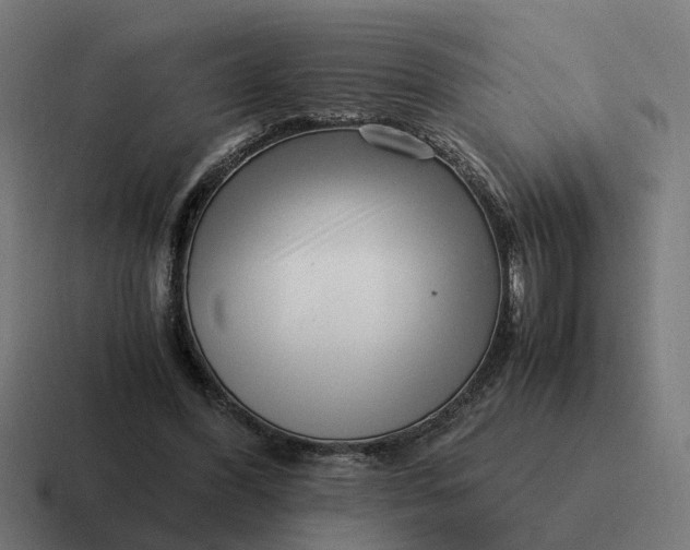 X0000116760396200912311823