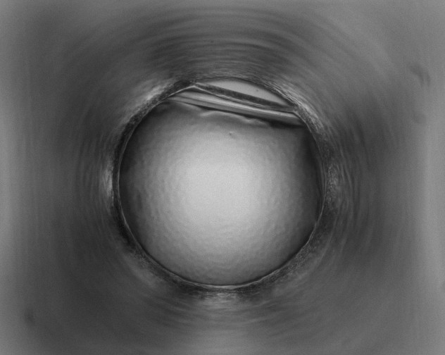 X0000116760398200912311823