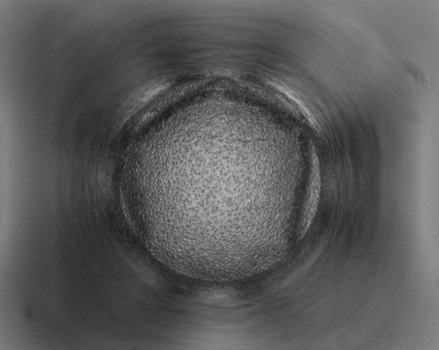 X0000116760402200912311822