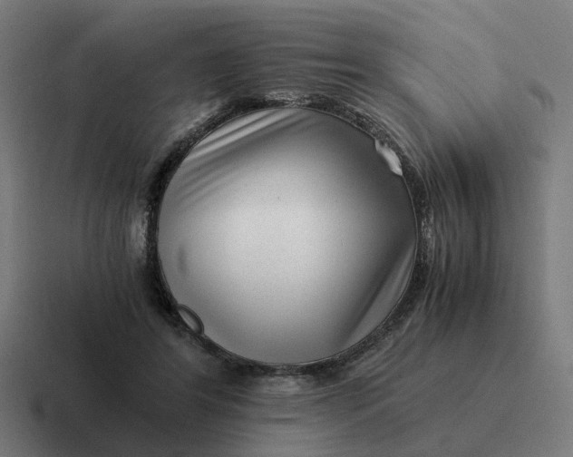 X0000116760404200912311822