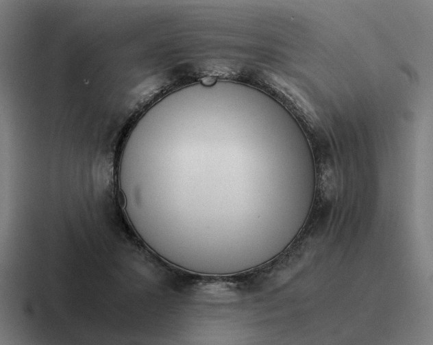 X0000116760407200912311822
