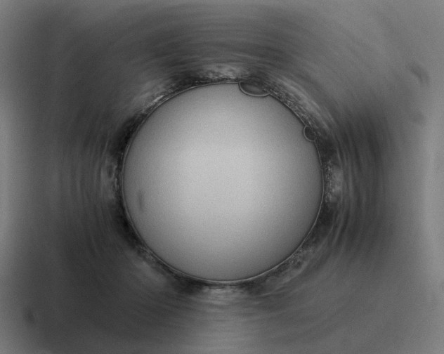X0000116760414200912311822